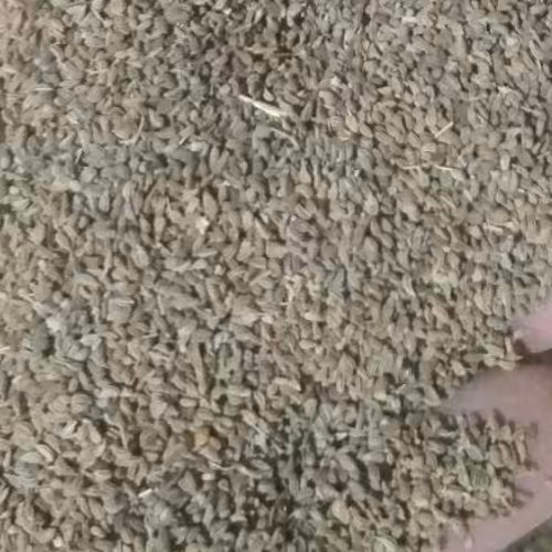 زنیان 100گرمی