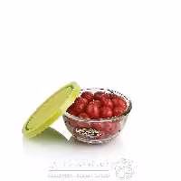 کاسه کالیس دربدار سایز5زیباسازان مدل 15008