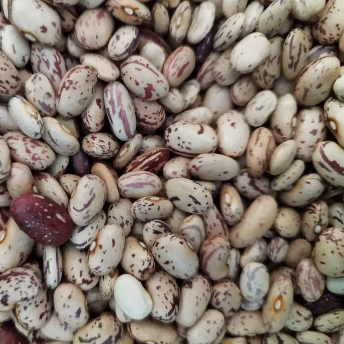 لوبیا چیتی درجه یک امساله  محصول روستای قیصرق بسیار خوش طعم و خوش پخت در  وزن های دلخواه