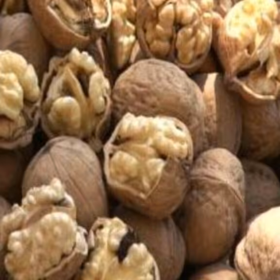 گردو پوست کاغذی سامان  1000گرمی درجه یک بدون خطا