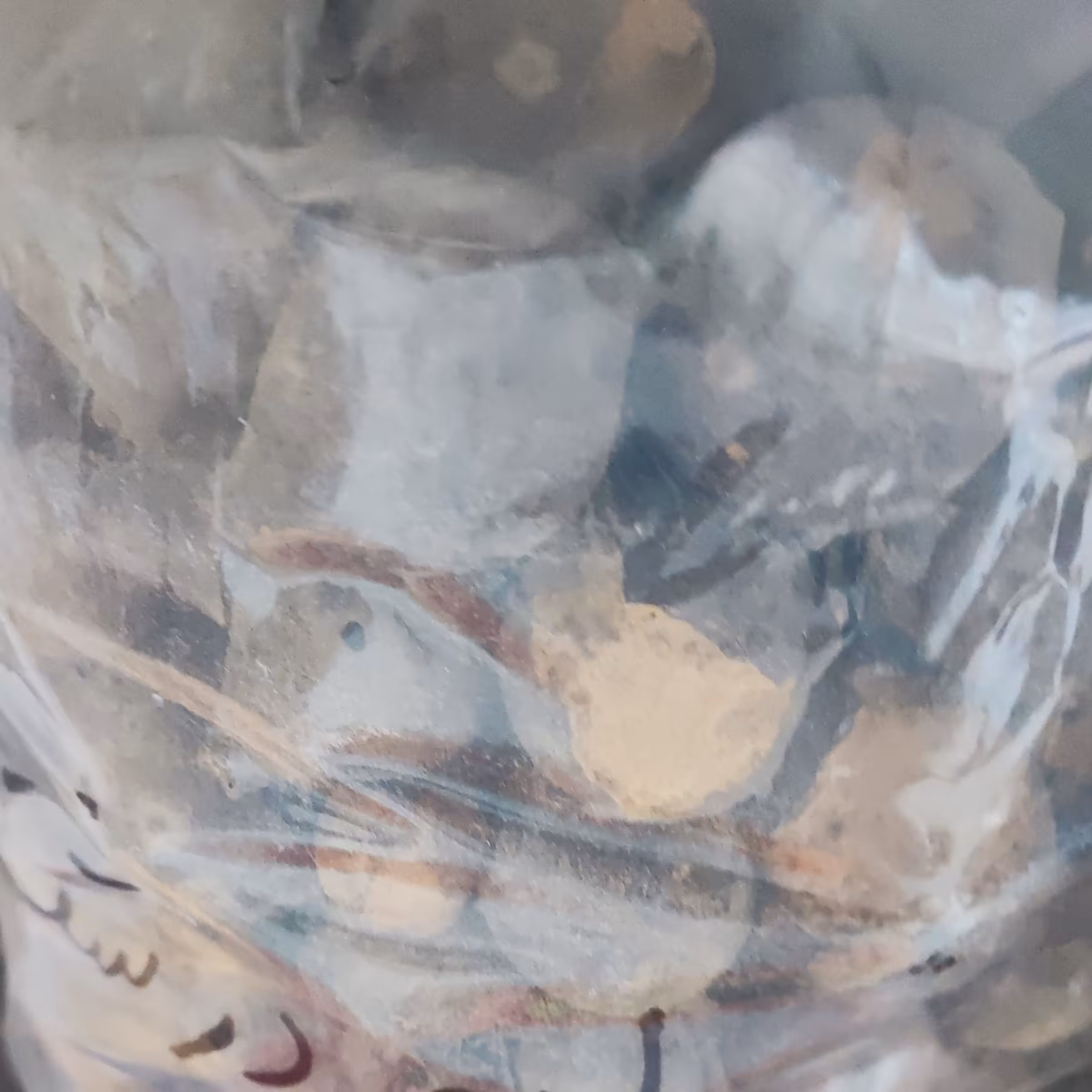 مازو اصل درشت 100 گرمی