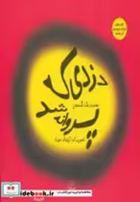 قیمت و خرید کتاب دزدی که پروانه شد اثر محمدرضا شمس | ایده بوک