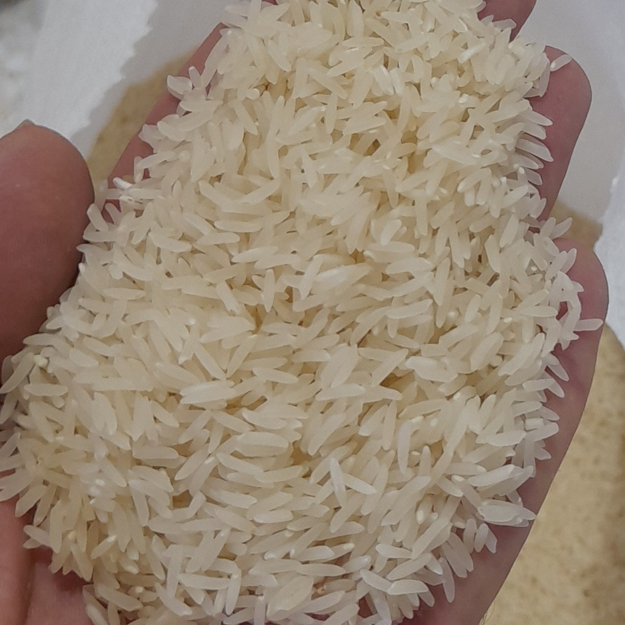 برنج  فجر گرگان  اعلا  10 کیلویی