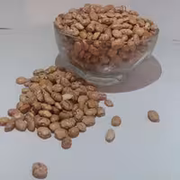 لوبیا چیتی(1کیلوگرم)