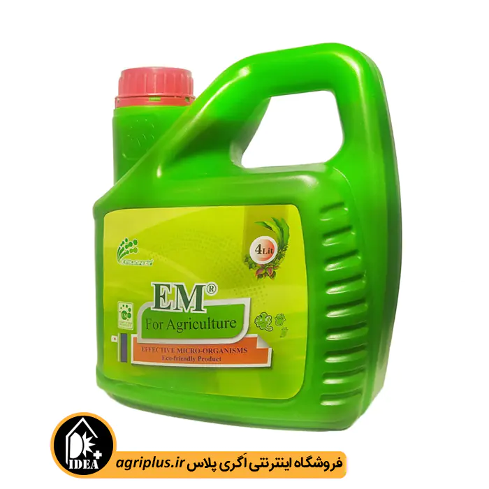 باکتری ای ام