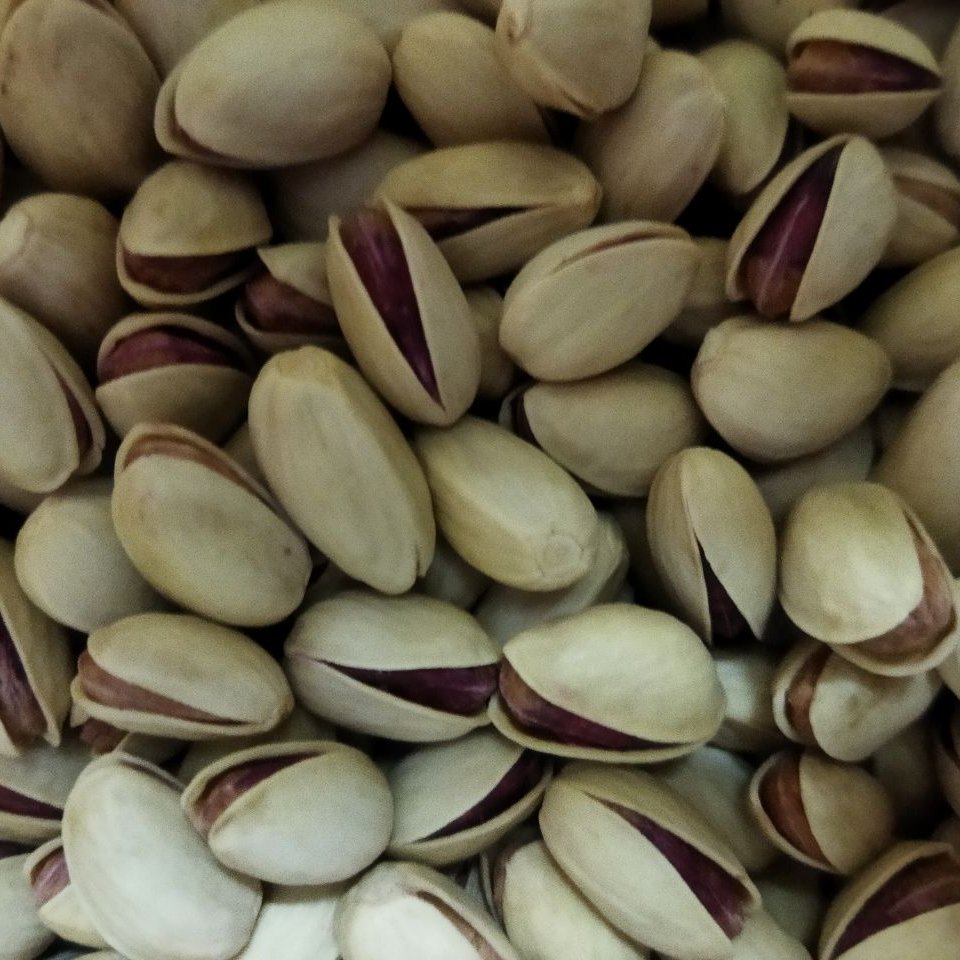 پسته دست چین احمد آقایی