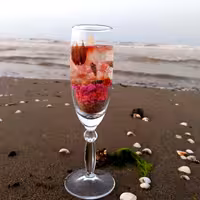 شمع جام دریایی