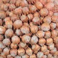 فندق خام امسال پر مغز  