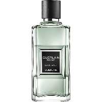 عطر ادکلن گرلن هوم Guerlain Homme