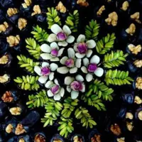 خرما گردو یی ویژه  با تزیین خلال پسته و بادام 