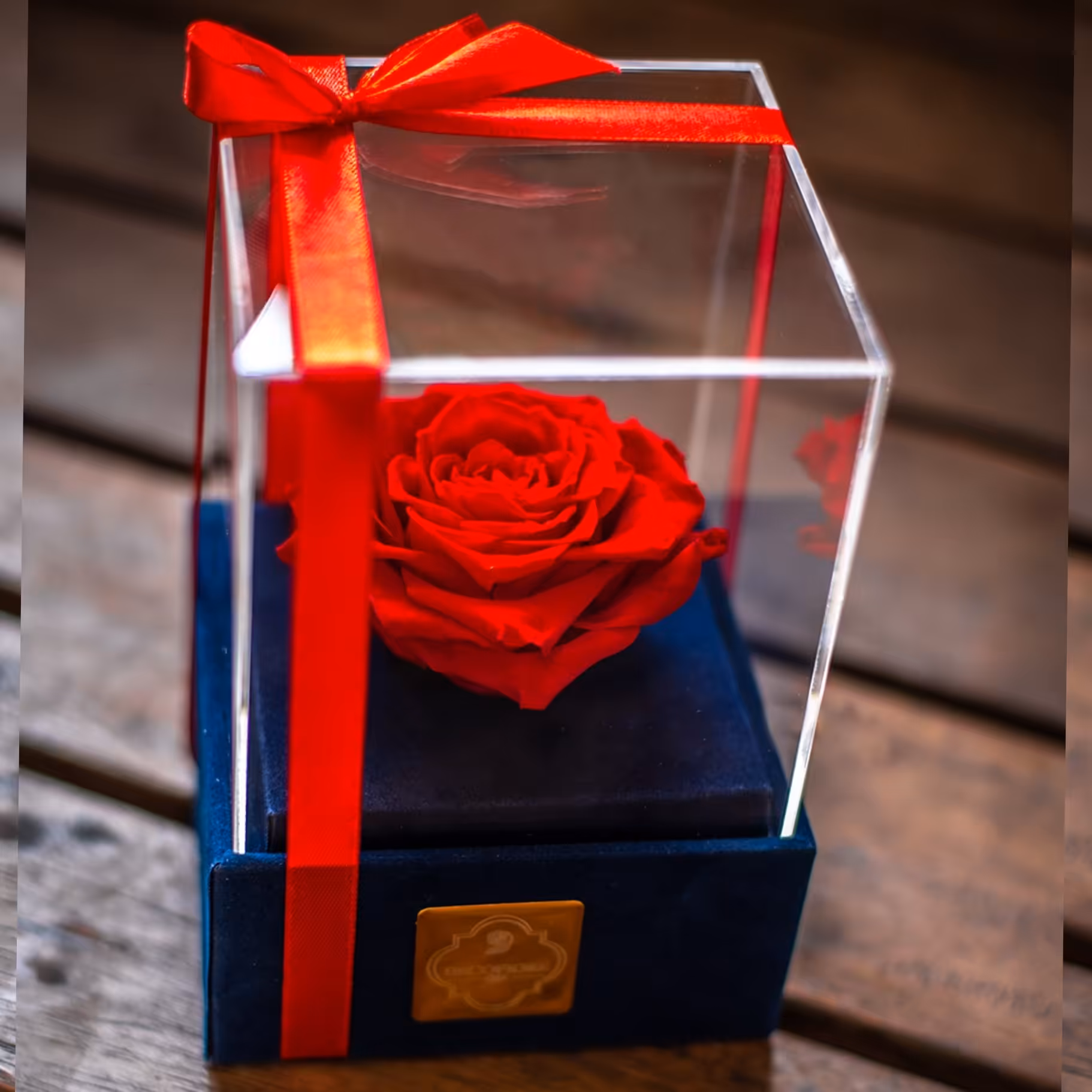 رز جاودان دکوفیوره مدل تک گل بزرگ