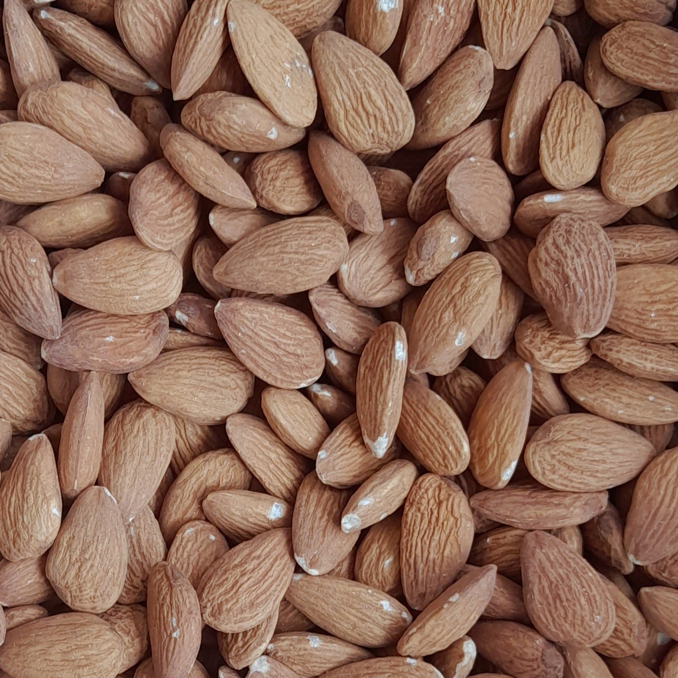 مغز بادام درختی خام  - 100 گرمی - ارسال رایگان 