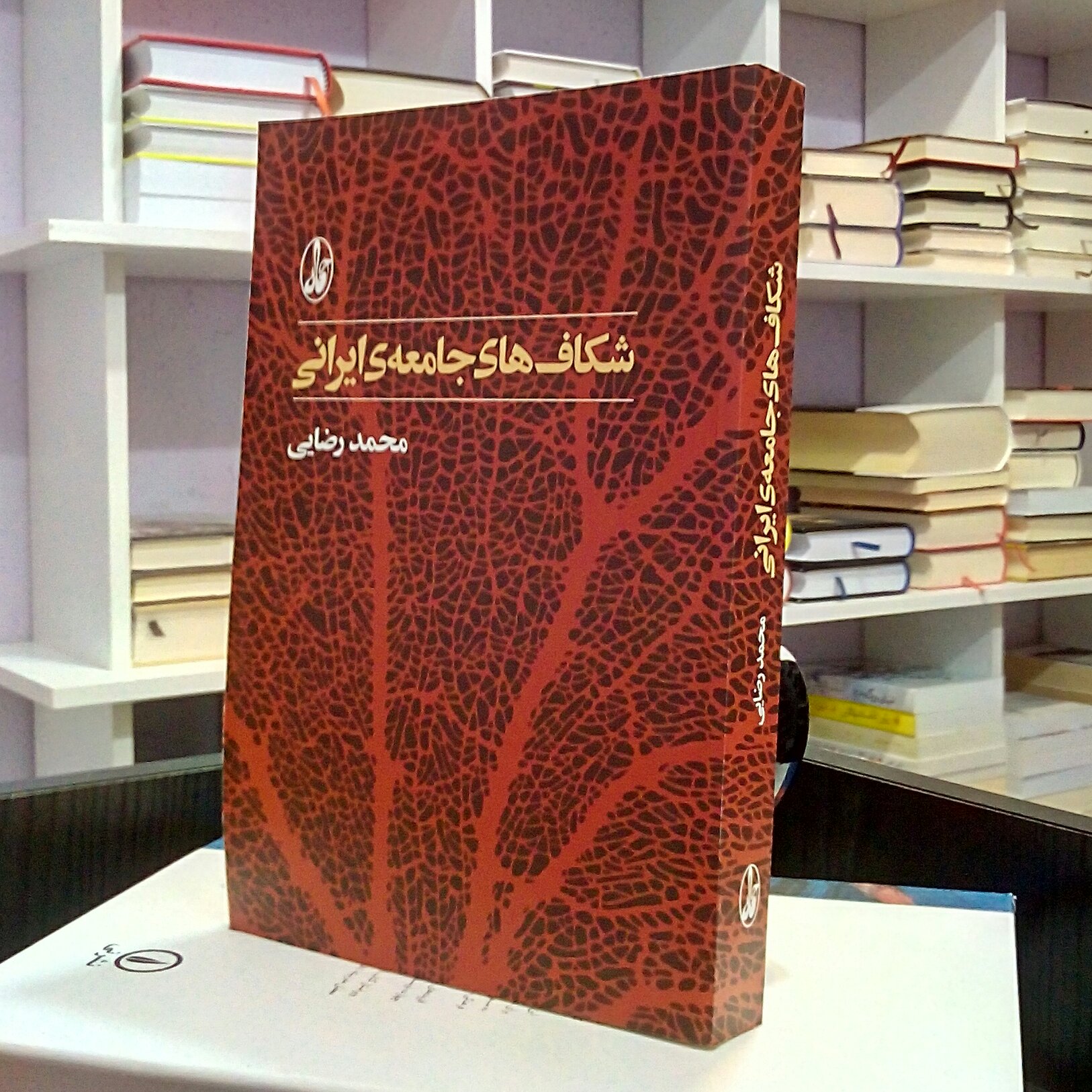 شکاف های جامعه ایرانی ، محمد رضایی