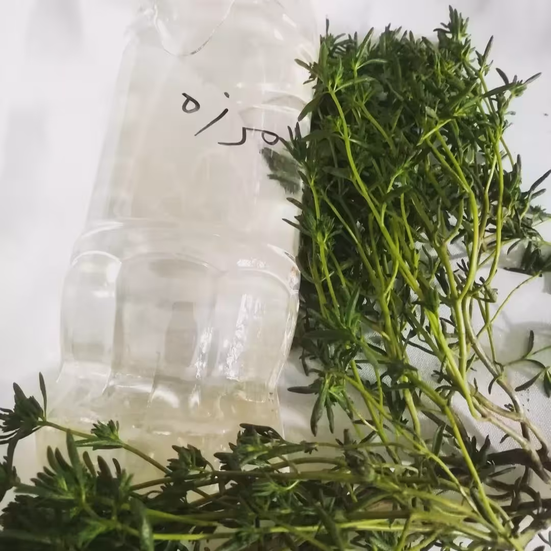 عرق مرزه ( دافع سنگ کلیه ) 