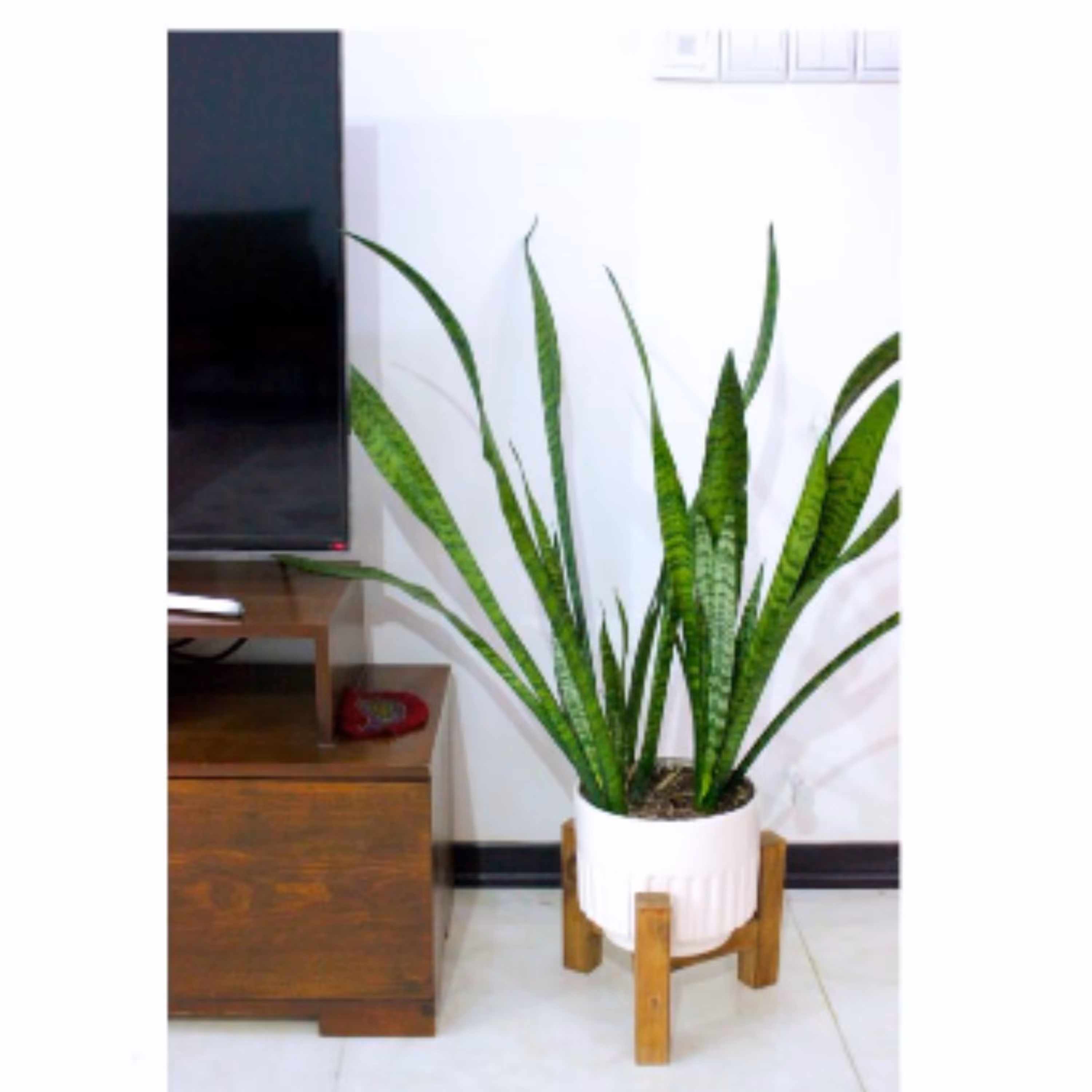 پایه گلدان روستیک دکور مدل سه پایه