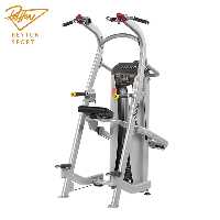دستگاه پارالل بارفیکس کمکی Hoist مدل W8019