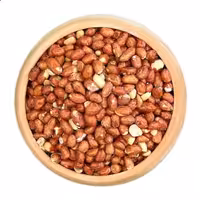 مغز بادام زمینی برشته و تنوری