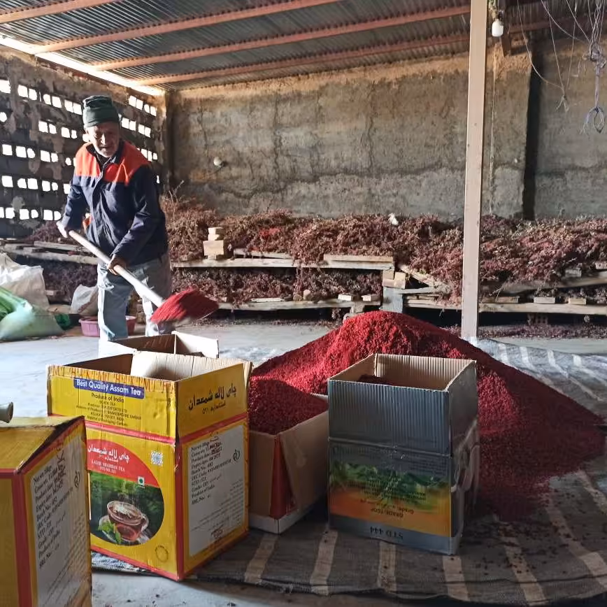 زرشک پفکی فله ای 5 کیلویی امسالی محصول خاص قاینات محصول پاییز 1403