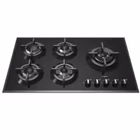 گاز صفحه ای شیشه ای رابیتس مدل RG-550