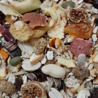 غذای آجیلی جونده MSP  وزن  1 کیلوگرم 