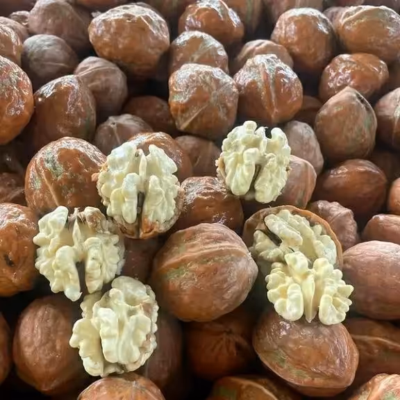 گردوی تازه و پوست گرفته شده تر  هشت کیلویی