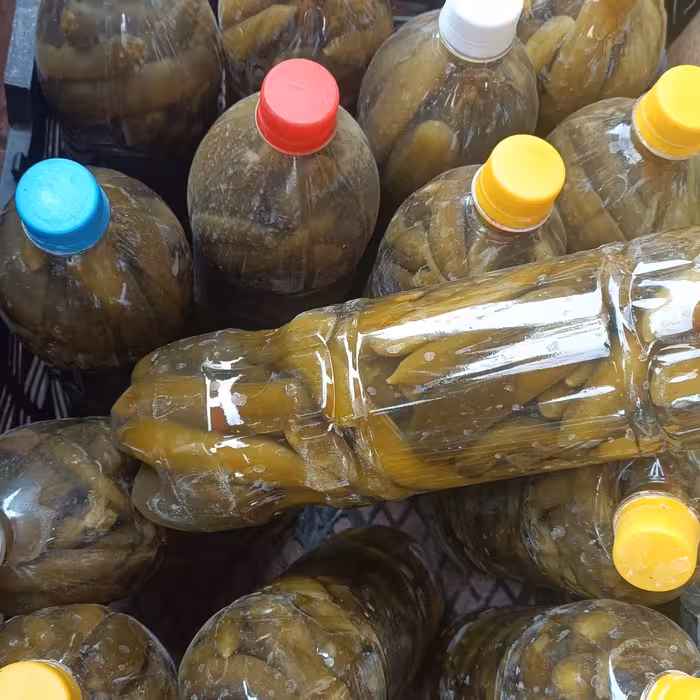 خیارشور ممتاز یک و نیم کیلویی 80