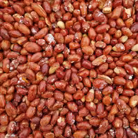 مغز بادام زمینی ریز،تازه،خوش طعم،خوش نمک 500گرم