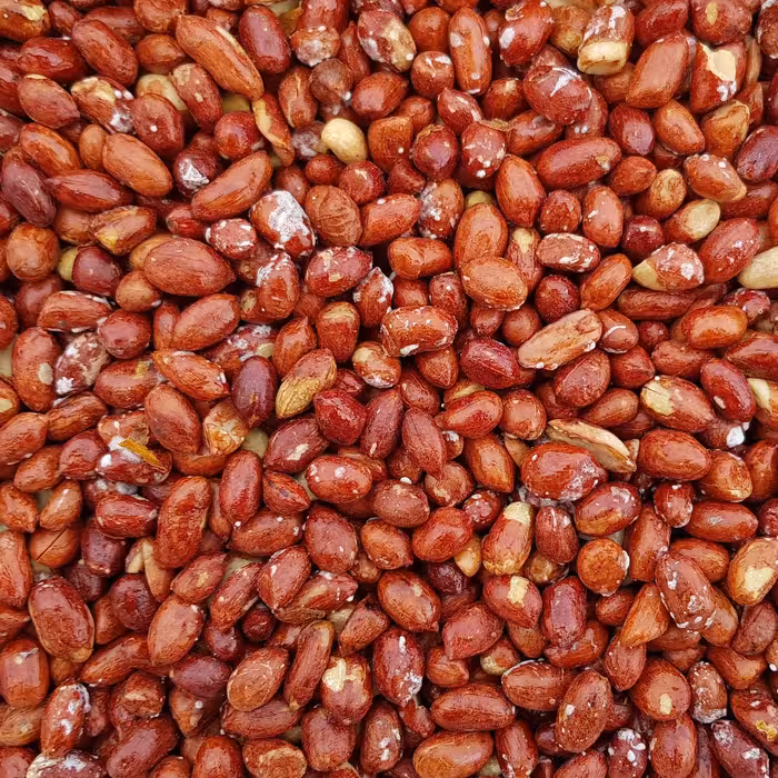 مغز بادام زمینی ریز،تازه،خوش طعم،خوش نمک 500گرم