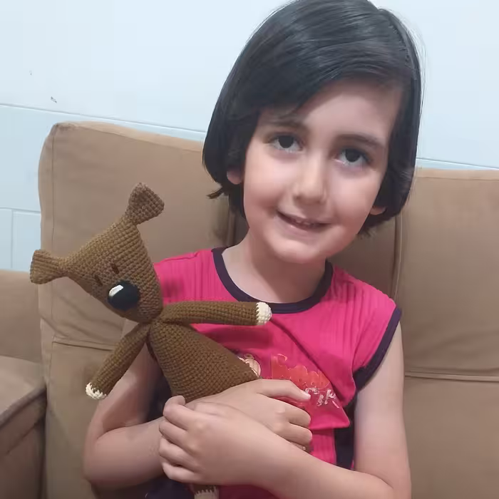 عروسک خرس تدی خرس شخصیت معروف مستربین یک عروسک خاص و دوست داشتنی
