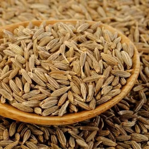 زیره سبز نیم کیلویی