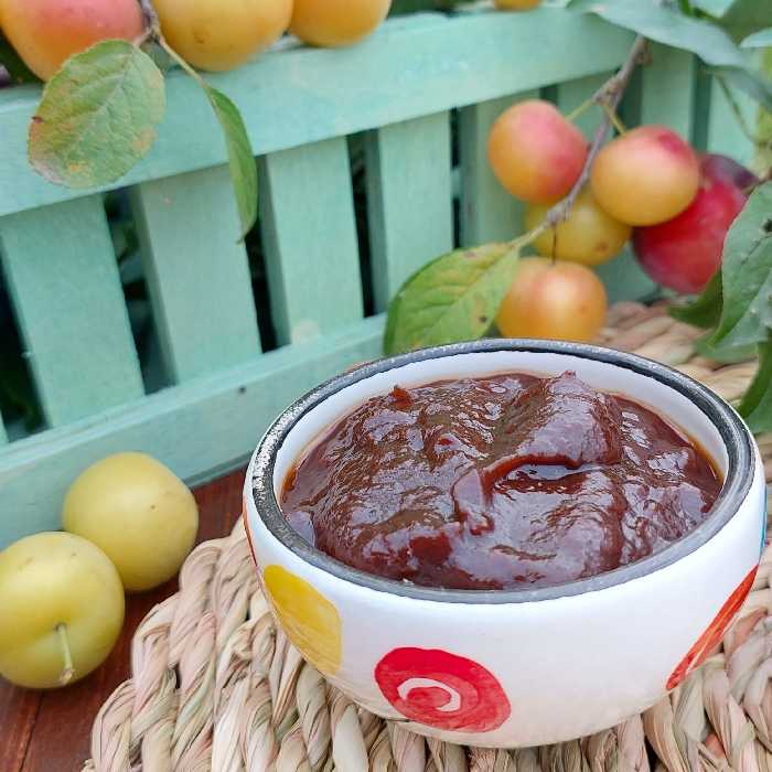 رب آلوچه ملس (گوجه سبز) ارگانیک و بدون مواد نگهدارنده 900 گرمی