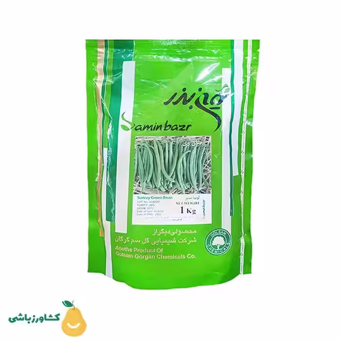 بذر لوبیا سبز ثمین