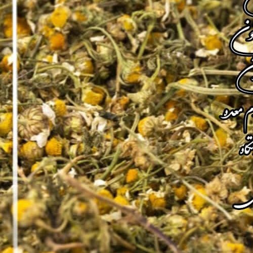 بابونه اعلا