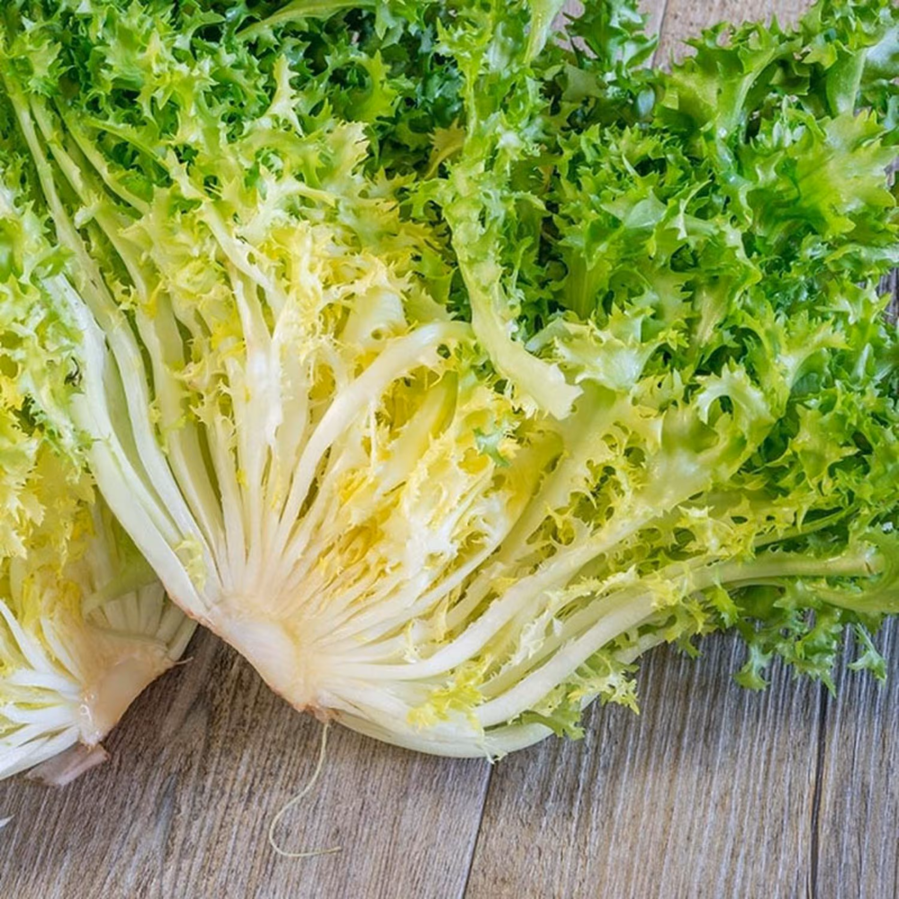 بذر کاهو کاسنی سبز سوزنی فرانسوی بسته 50 عددی