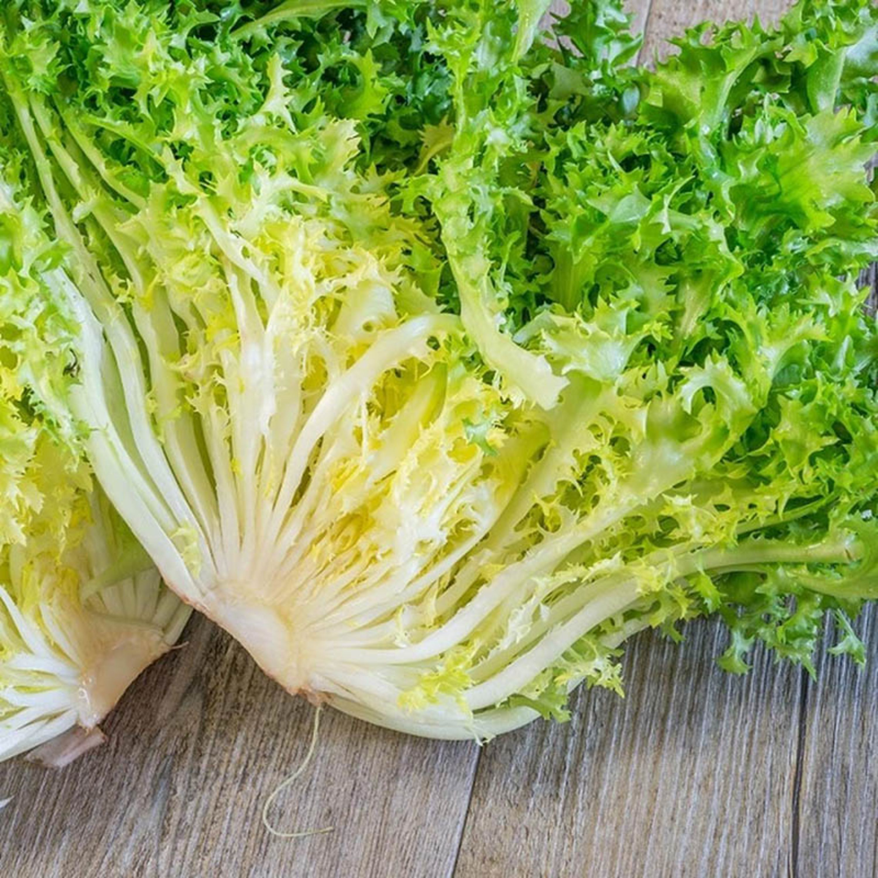 بذر کاهو کاسنی سبز سوزنی فرانسوی بسته 50 عددی