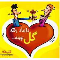 کتاب داماد رفته گل بچینه اثر محمدرضا دوست محمدی کتاب مترو طنز کاریکاتور نشر شهر