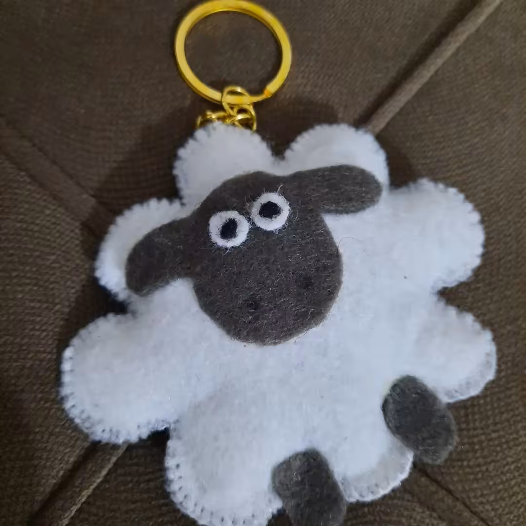 جاسوئیچی نمدی 