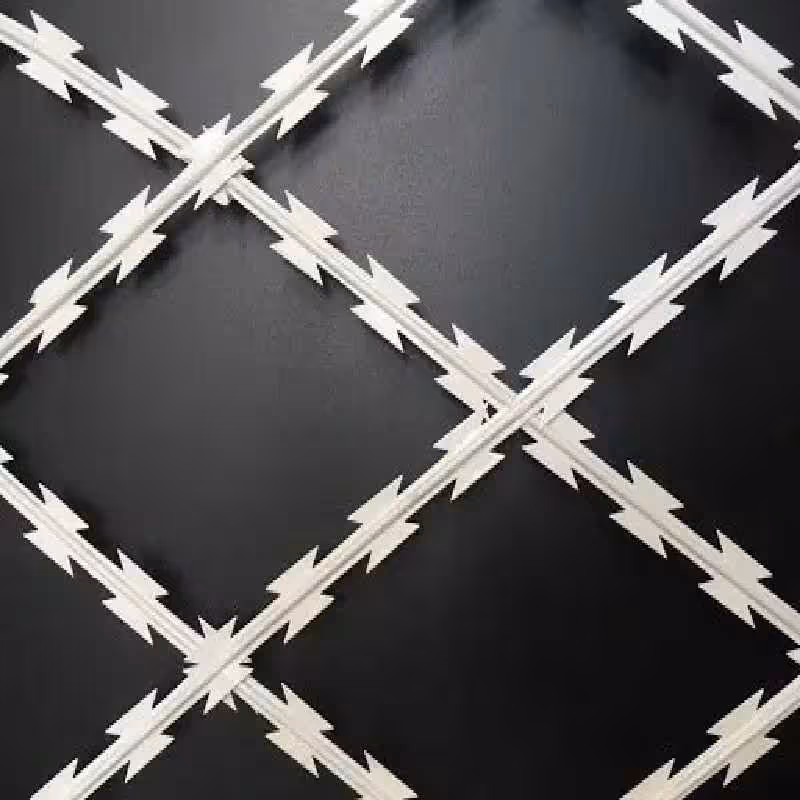 سیم خاردار خطی تیغی  وارداتی