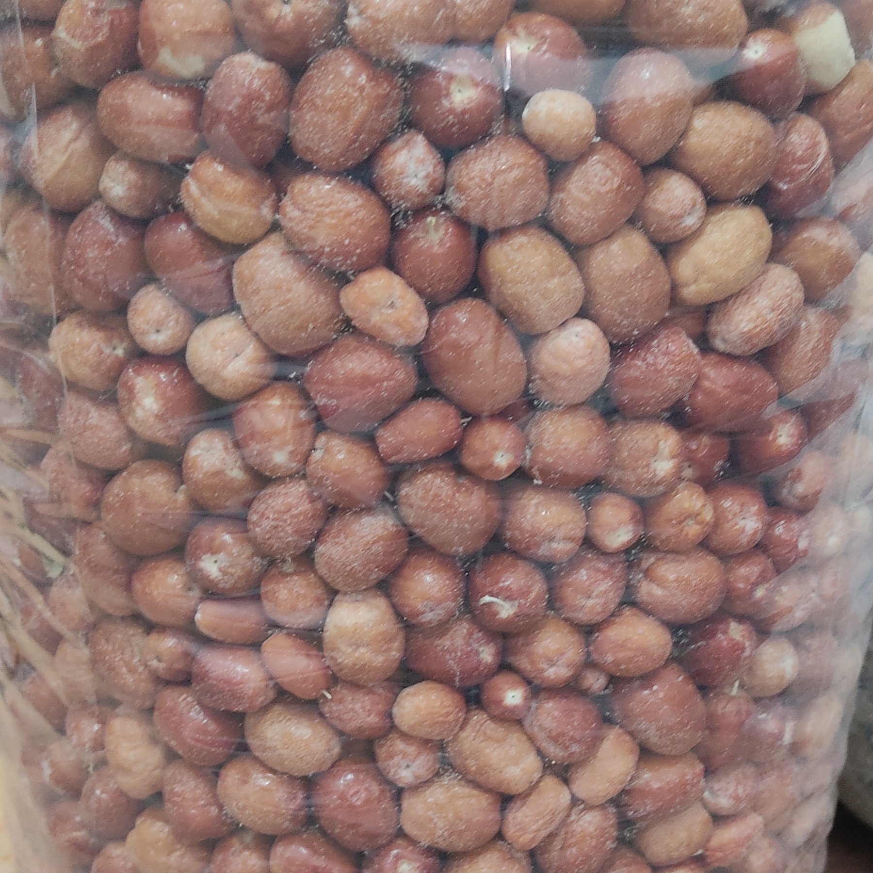 سنجد محلی
