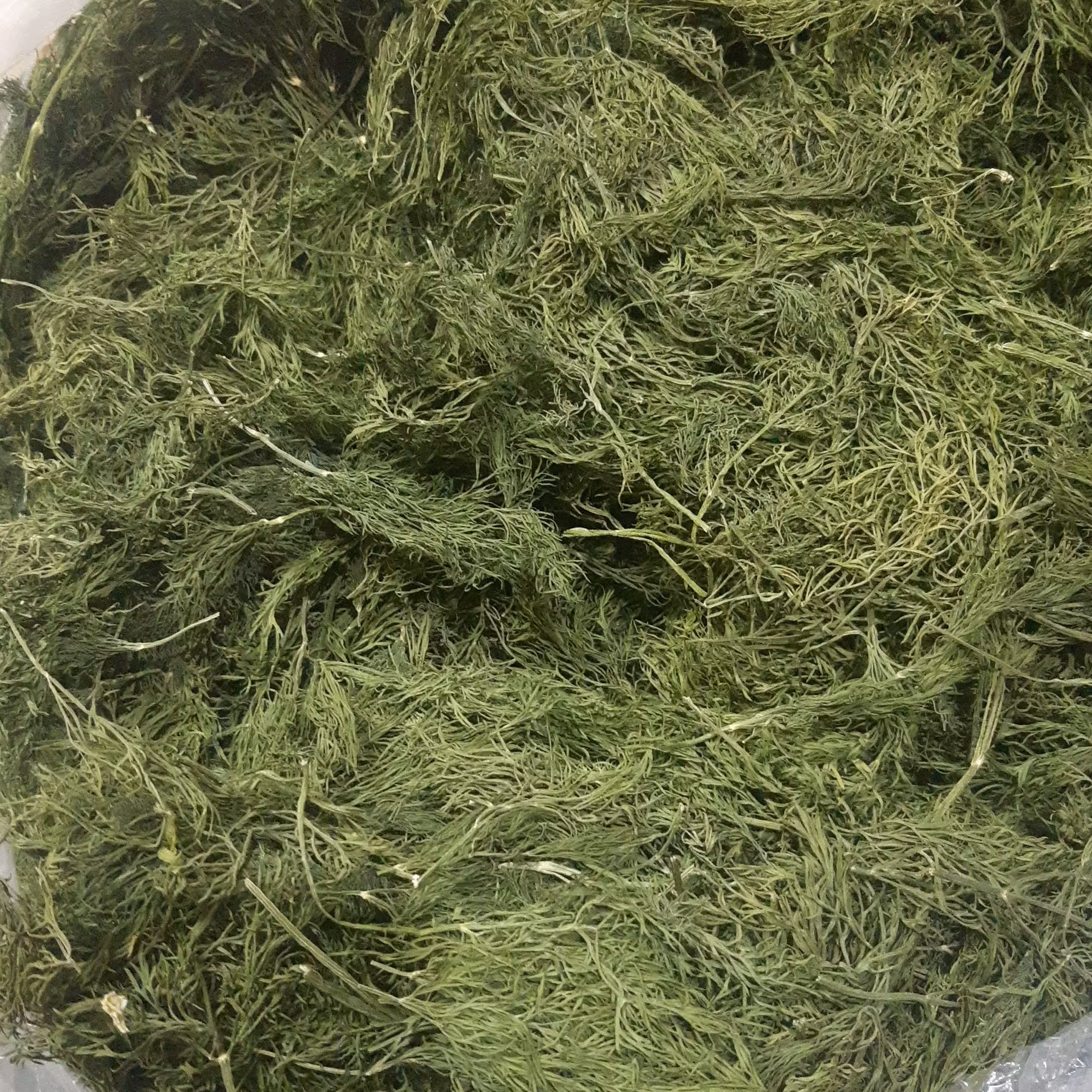 شوید خشک سرگل 10 کیلویی