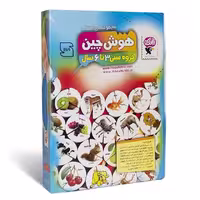 بازی فکری هوش چین 3 تکه زاغک اسباب بازی آموزشی