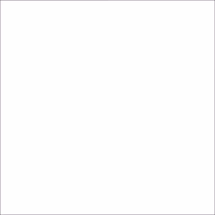 فون کاغذی بکگراند سفید Savage Background Paper Seamless #66 Pure White