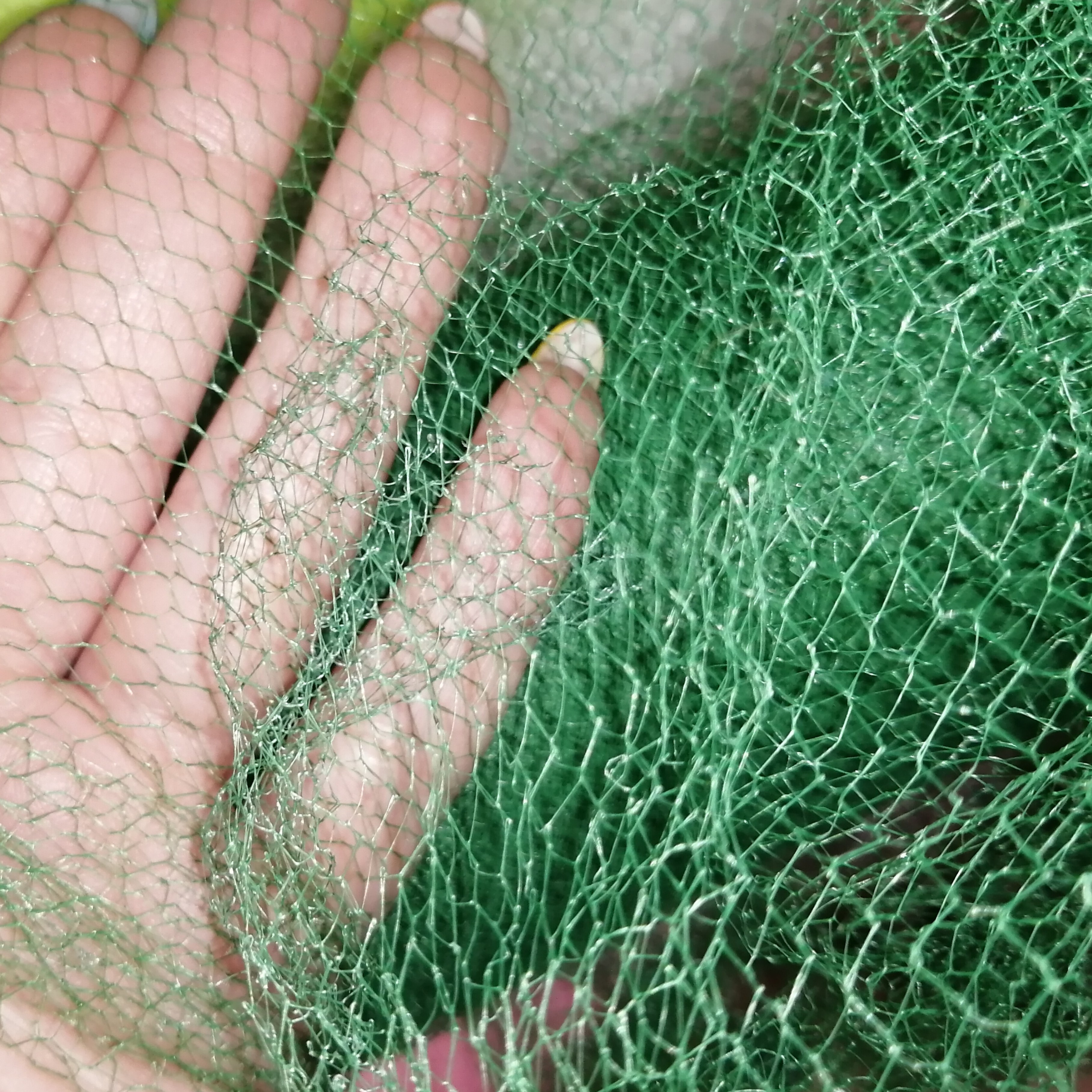 تور ساده رنگ سبز سیدی خرازی طول یک متر عرض 75 سانتی متر