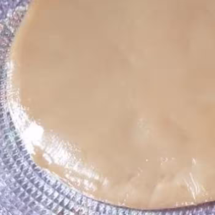 قارچ کامبوجا 1 عدد (جهت تهیه نوشیدنی و قارچ)