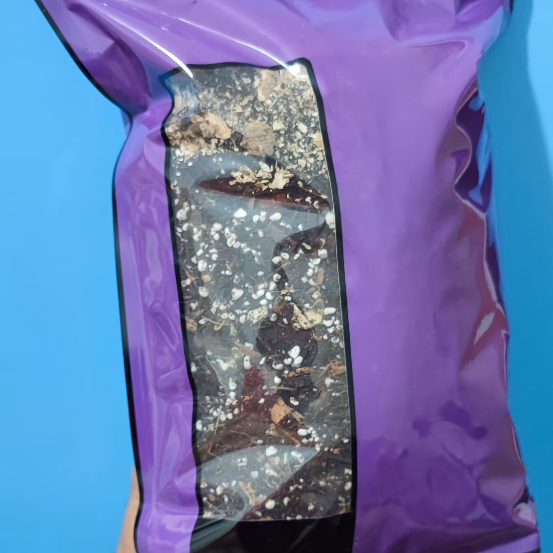 خاک گیاهان آپارتمانی  وارداتی