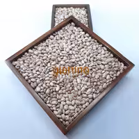 لوبیا چیتی یک کیلویی گیاهینو