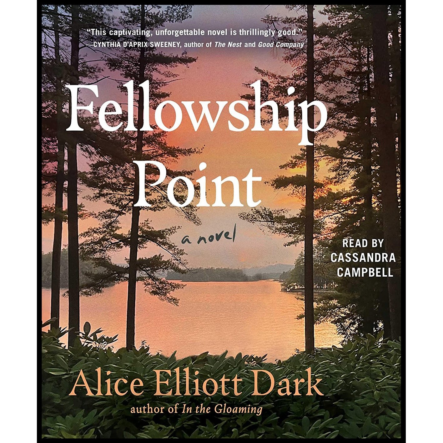 کتاب زبان اصلی Fellowship Point اثر Alice Elliott Dark