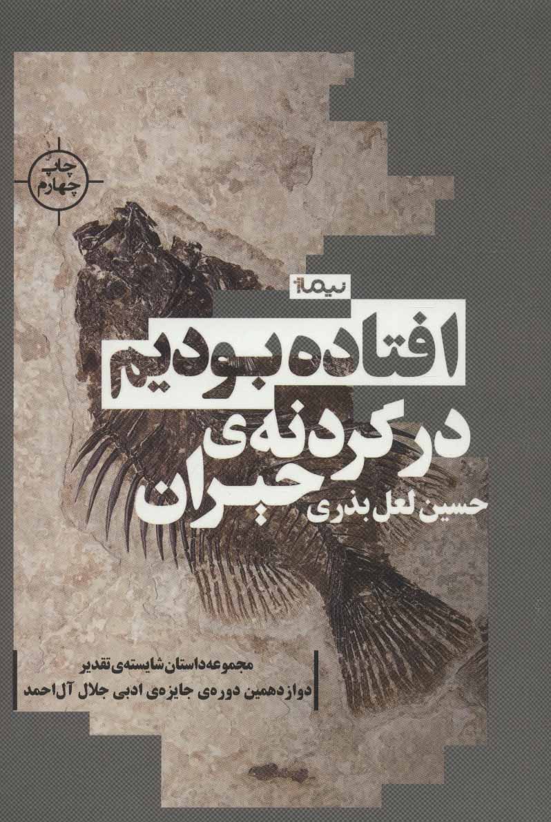 کتاب افتاده بودیم در گردنه حیران