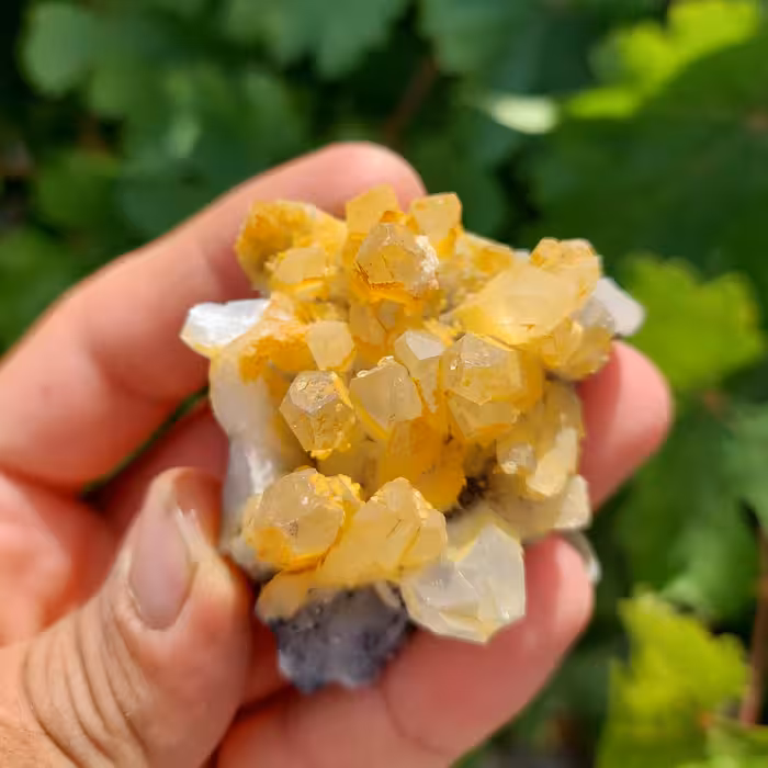 سنگ کوارتز لیمونیتی 