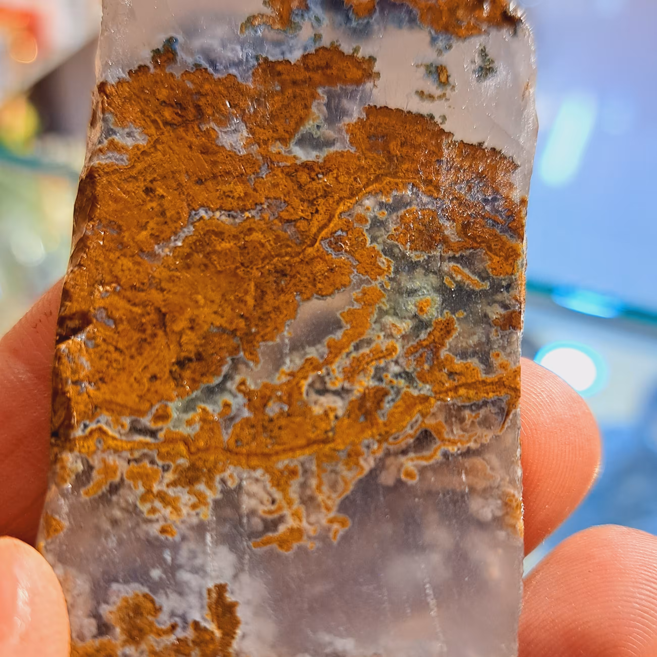 راف عقیق پاییزه راف عقیق شجره پاییزی سنگ عقیق ایرانی اسلاید عقیق تراش سنگ عقیق سنگ عشق برش سنگ شجر  فسیل چوب سنگ فسیل